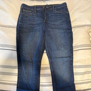 Universal Thread Blue Skinny Jeans with Modern Fit